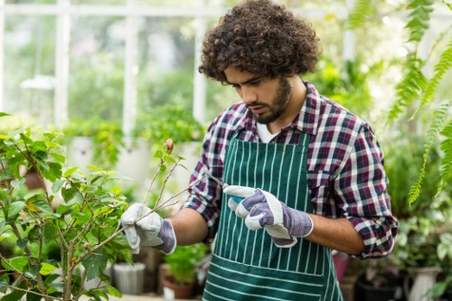Professional hedge trimmer working on a green hedge