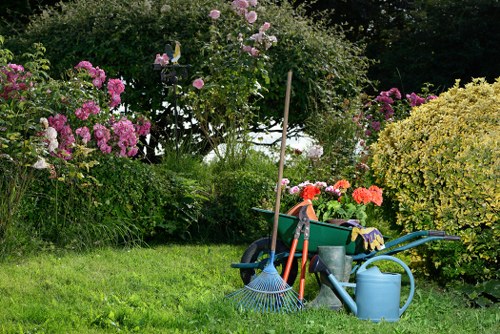 Clean and tidy area after tree removal service