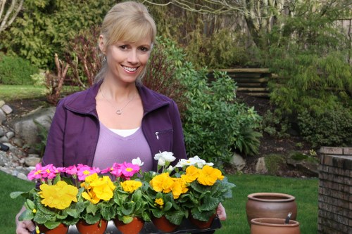 Garden Maintenance Services Whitechapel
