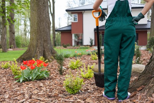 Safe tree removal with proper equipment in Whitechapel