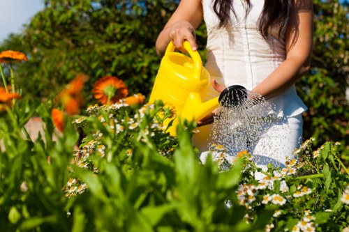 Technician addressing a third-party property concern during a pressure wash