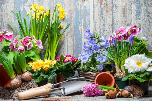 Eco-friendly garden clearance practices in Whitechapel